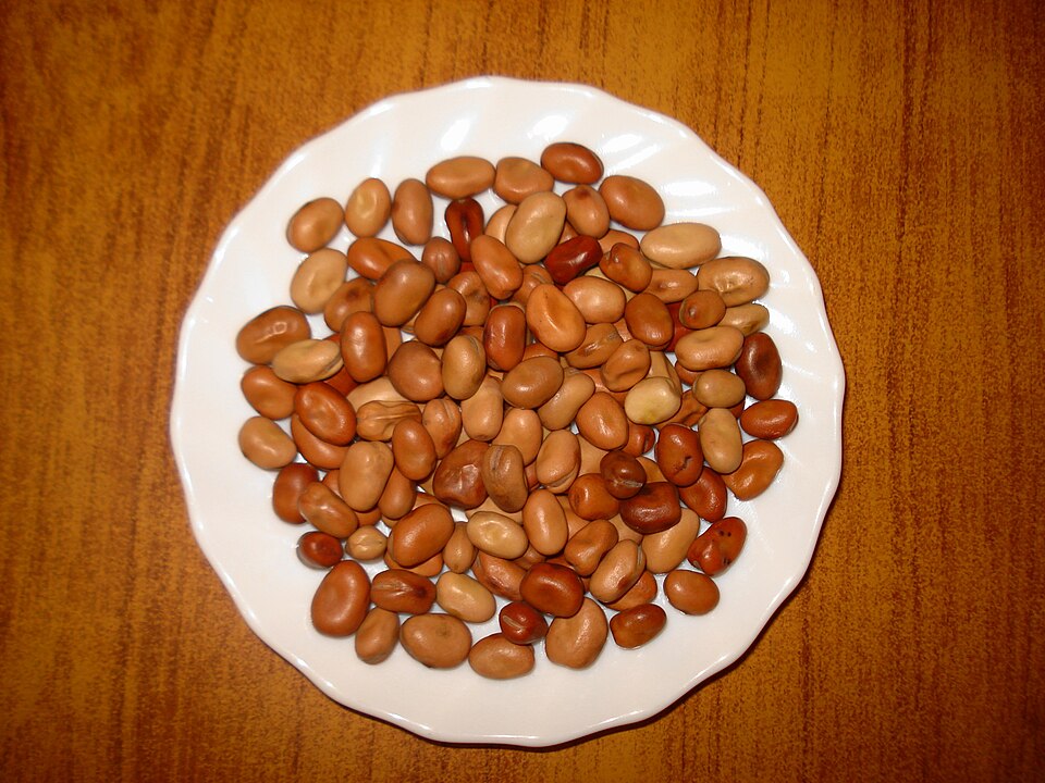 Egyptian Fava Beans