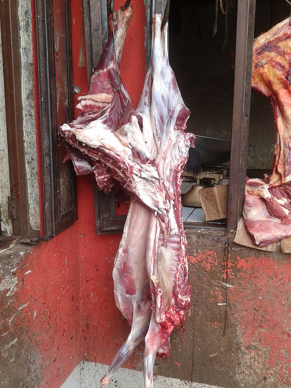 Halal goat, whole or cut — from our Walnut Street butcher counter in West Philadelphia